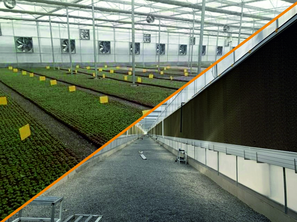 Sera, İklimlendirme ve Havalandırma