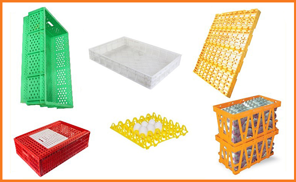 Tavuk ve Yumurta Taşıma Sistemleri