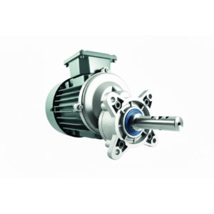 Poultry Broiler Feed Motor (0.55KW)