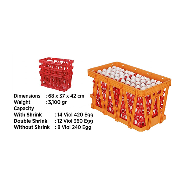 Egg Tray